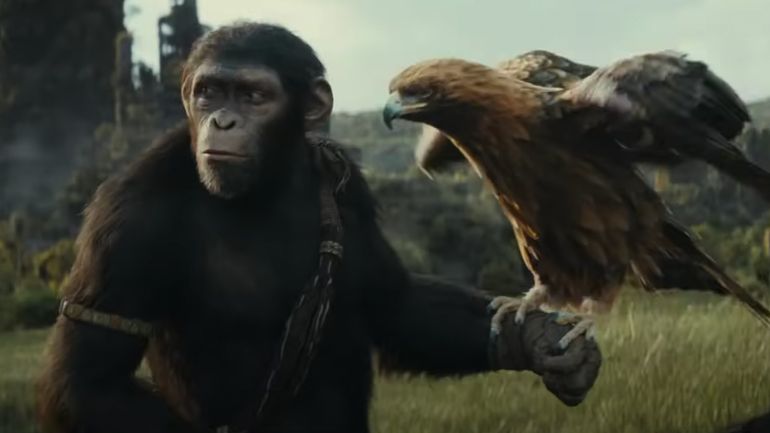 Rise of the Apes: Unveiling a World Where Primates Reign