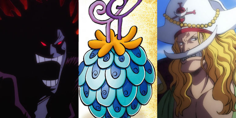 One Piece: All 7 Types Of Devil Fruits In The Franchise, Ranked