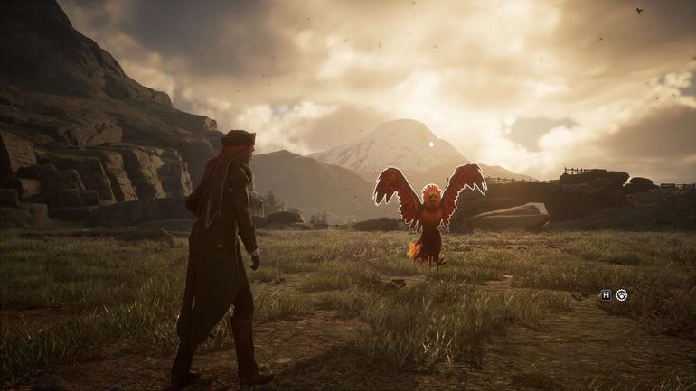 The Ultimate Guide to Capturing a Phoenix in Hogwarts Legacy