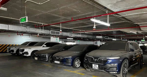 Lô xe xăng VinFast cũ giá tốt: Đa dạng Fadil và Lux, hầu hết như mới, chỉ từ 300 triệu đồng