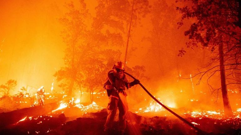 Wildfires unleash cancer-causing chemicals from the soil, new study reveals