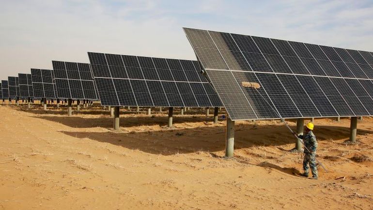 Finding Hope: 5 Reasons for Optimism Amidst Challenging Climate News