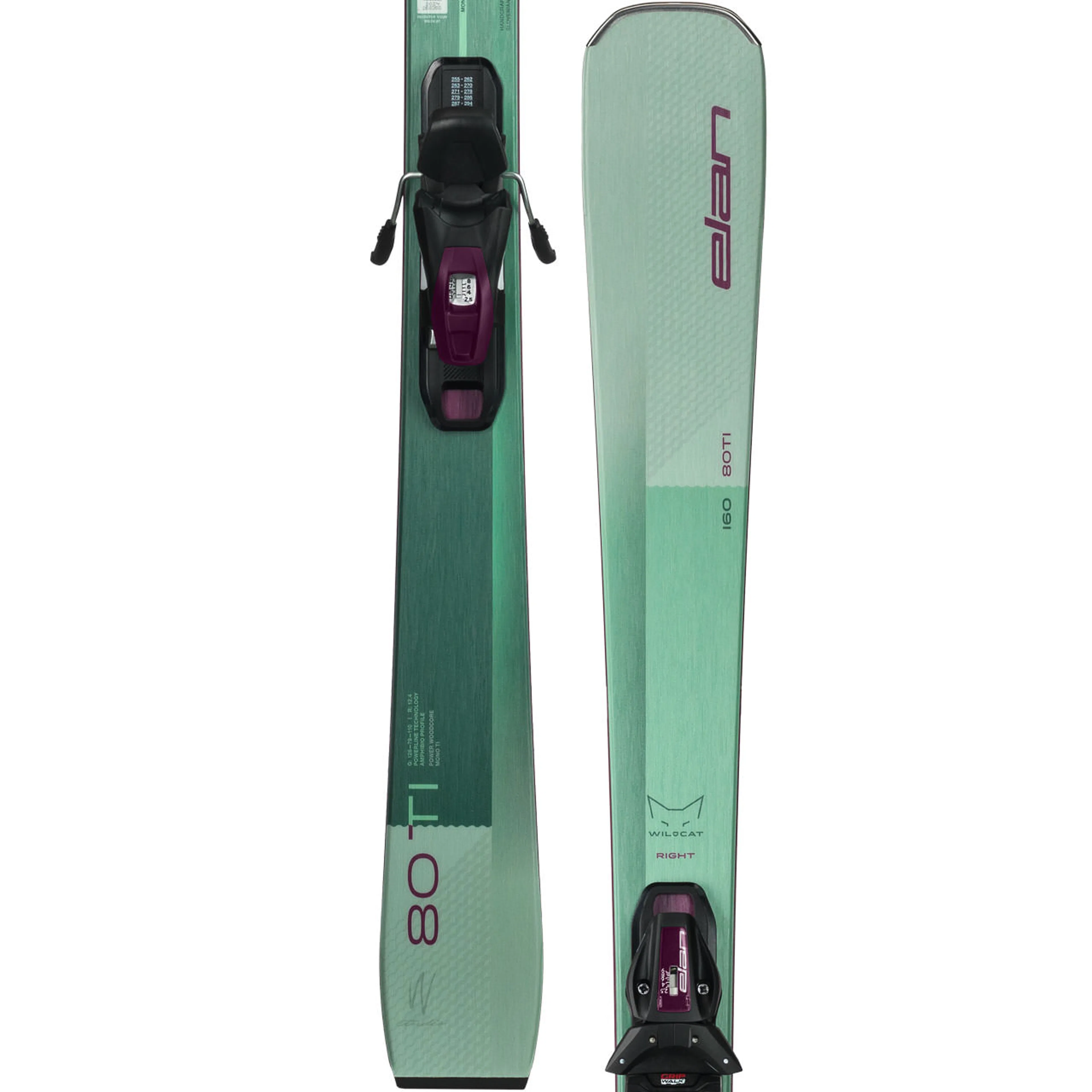 Горные лыжи Elan Wildcat 80 TI Shift X