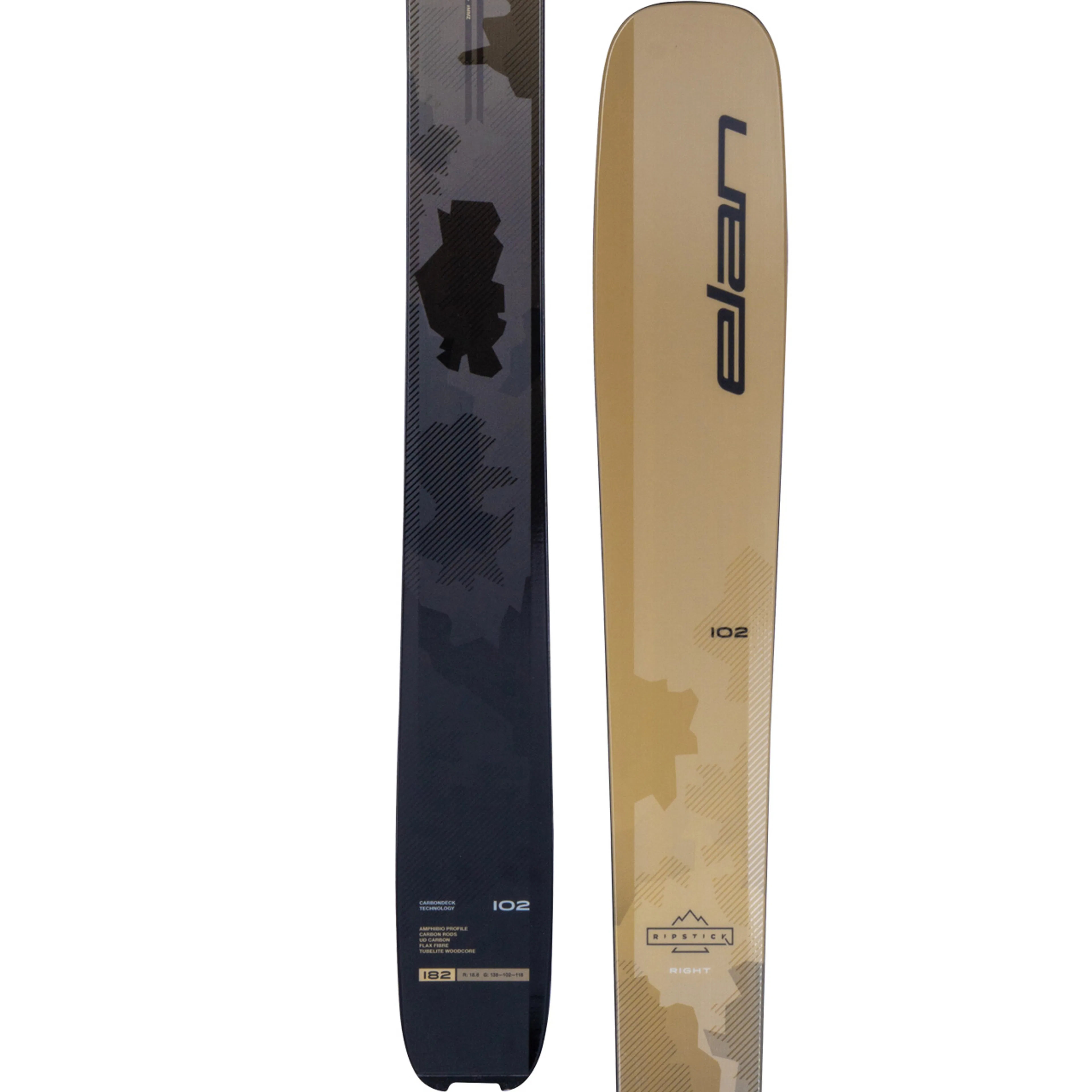 Горные лыжи Elan Ripstick 102