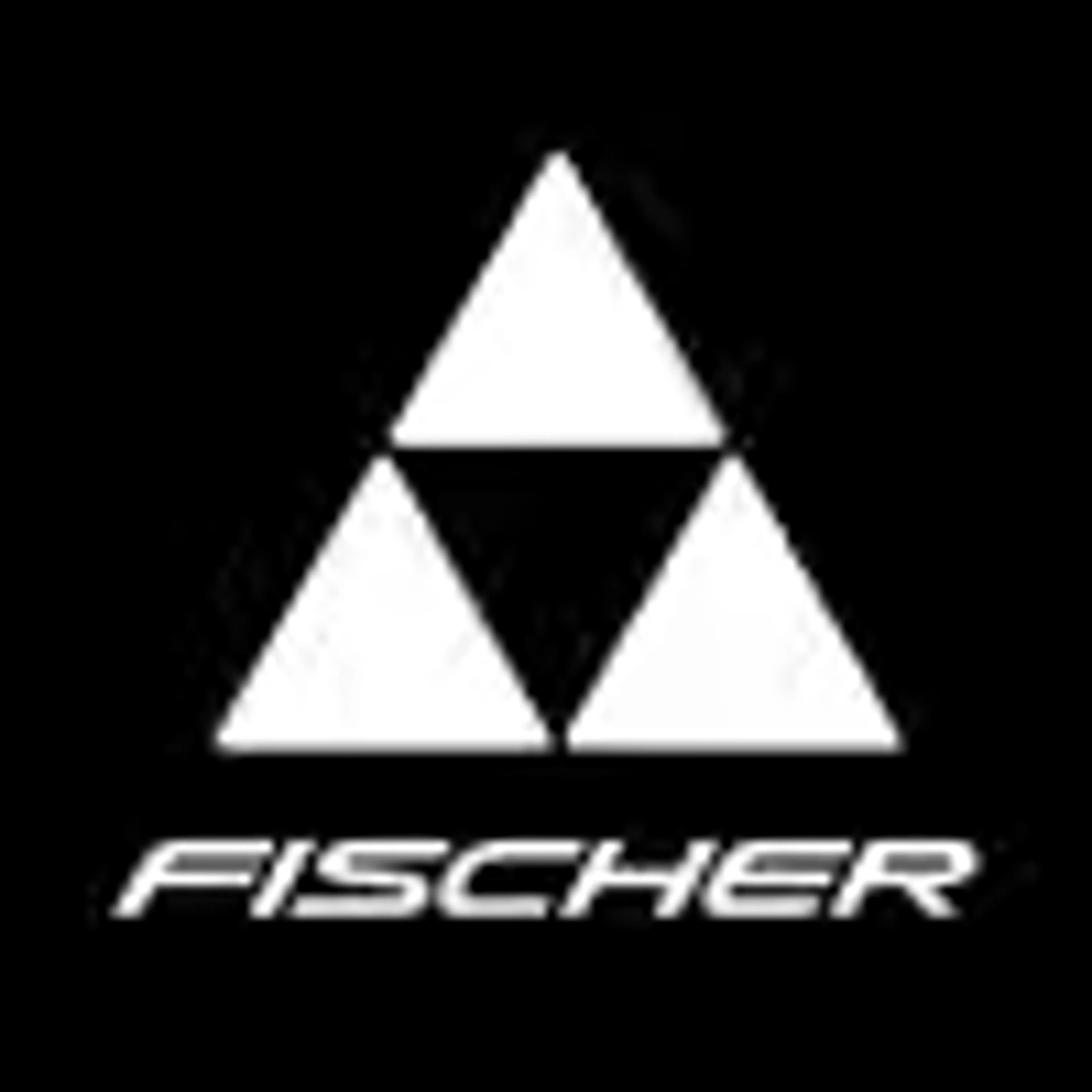 Горнолыжные ботинки Fischer Premio 75 GW W rhino, серый