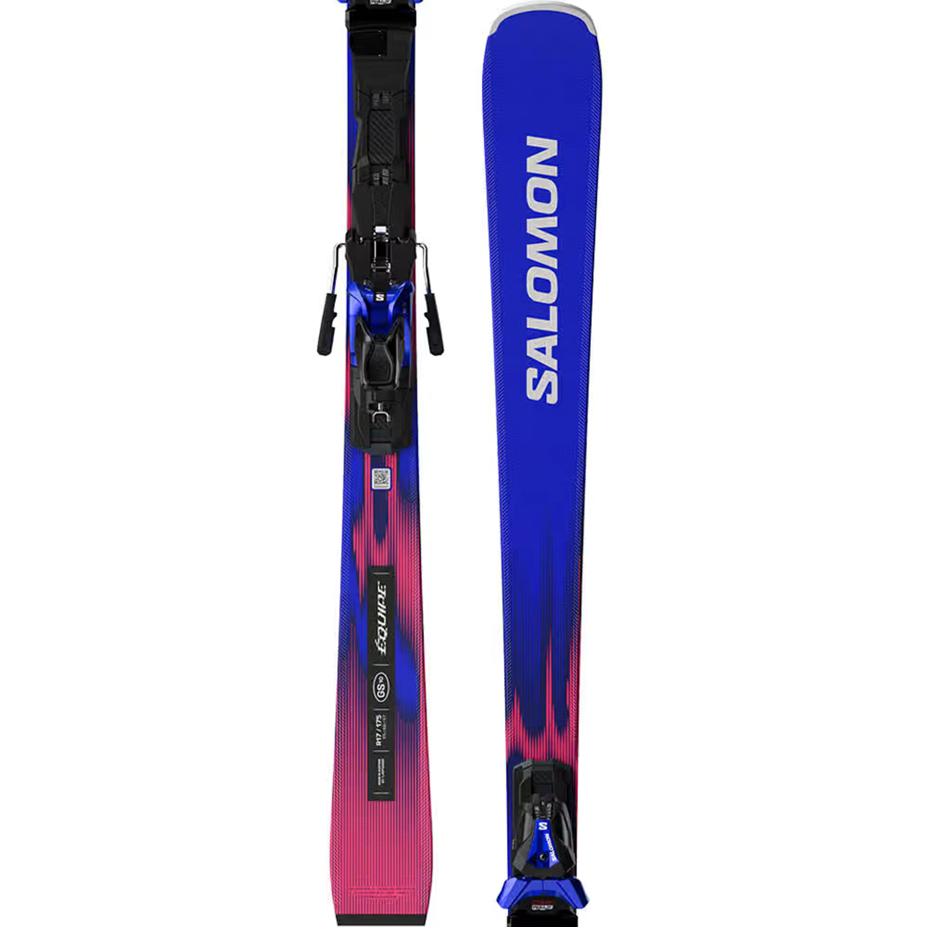 Горные лыжи Salomon E Equipe GS 10