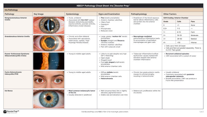 Iris Pathology cheat sheet preview