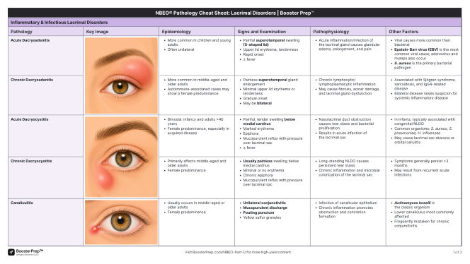 Lacrimal Disorders cheat sheet preview