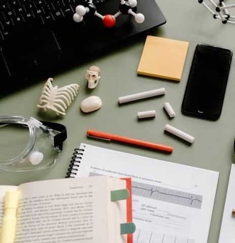 How to Study for DAT Biology: Complete Guide to Mastering the Section