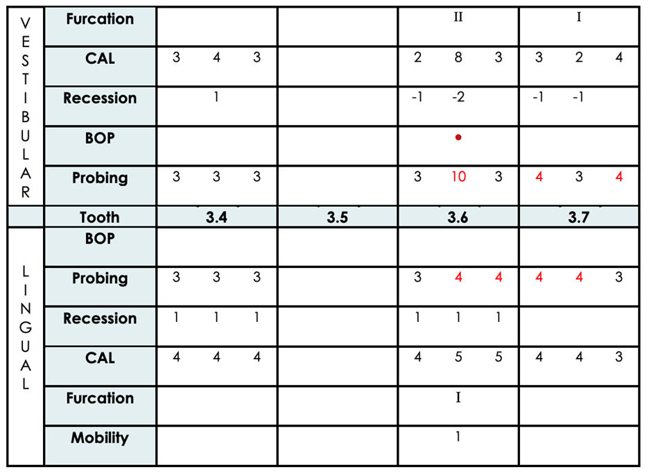 NDEB Virtual OSCE Protocol 2026