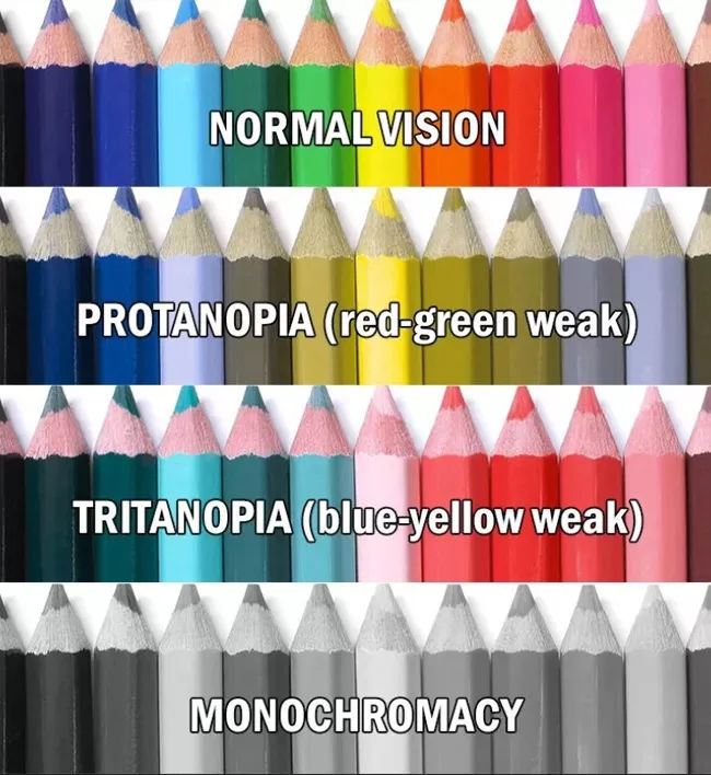 Color vision testing chart comparing normal vision with protanopia, tritanopia, and monochromacy at Clear Perspective EyeCare in Albuquerque, NM