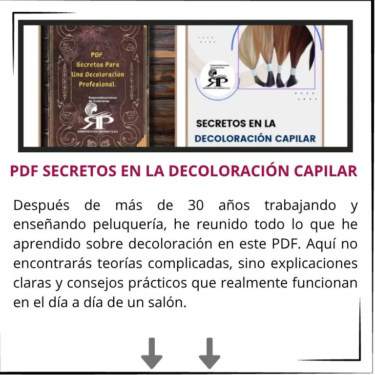 Imagen RP Company Inicio 10