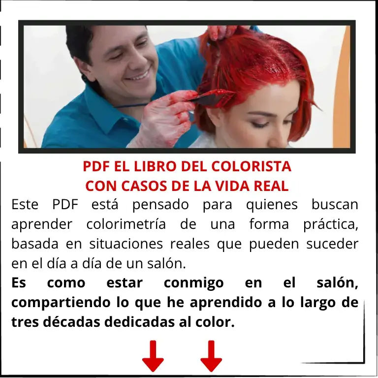 Imagen RP Company Inicio 11