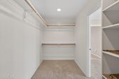 Thumbnail 31