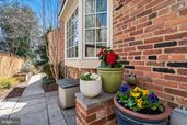 Thumbnail 18