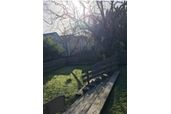 Thumbnail 46