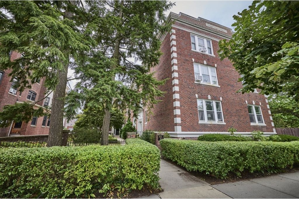 Picture 23: 52 Babcock Street 6, Brookline, MA 02446