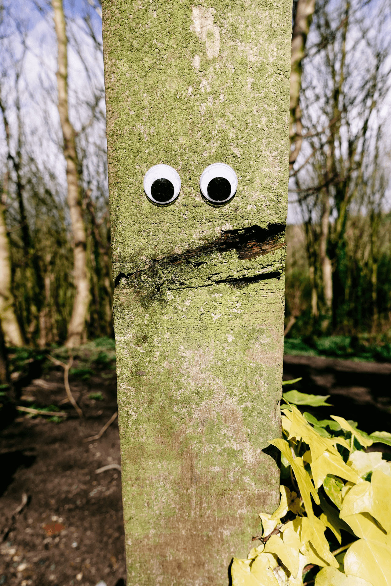 Fence post with stick on eyes