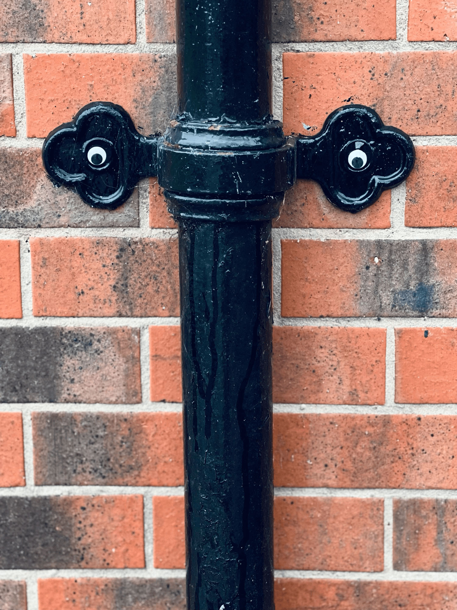 A gutter with stick on eyes against a brick wall