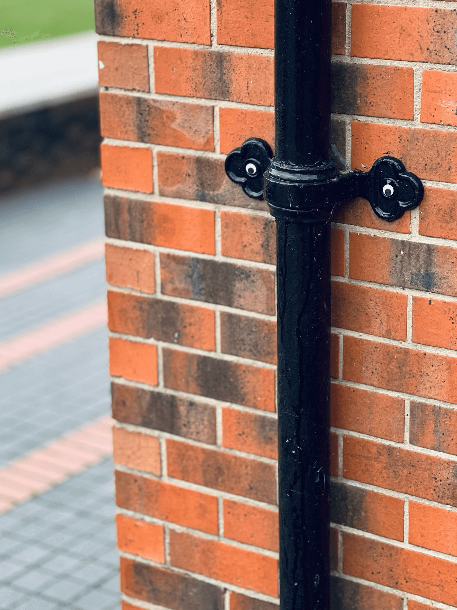 A gutter with stick on eyes against a brick wall