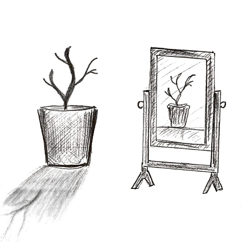 A drawing of a pot plant look at itself in the mirror