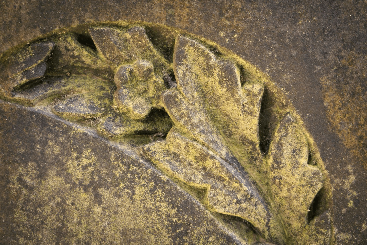 Close Up Gravestone Detail