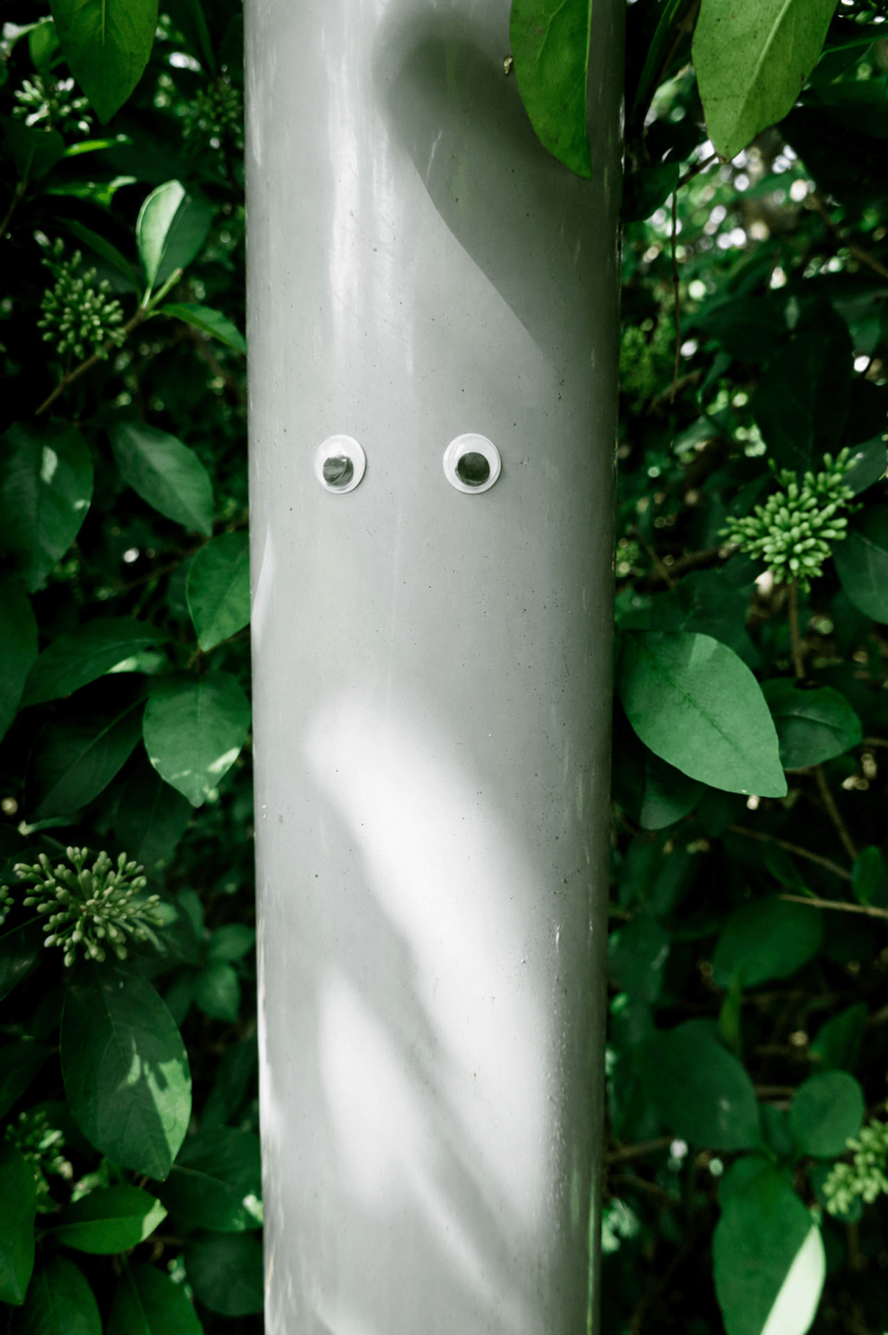 Lamp Post With Stick on Eyes