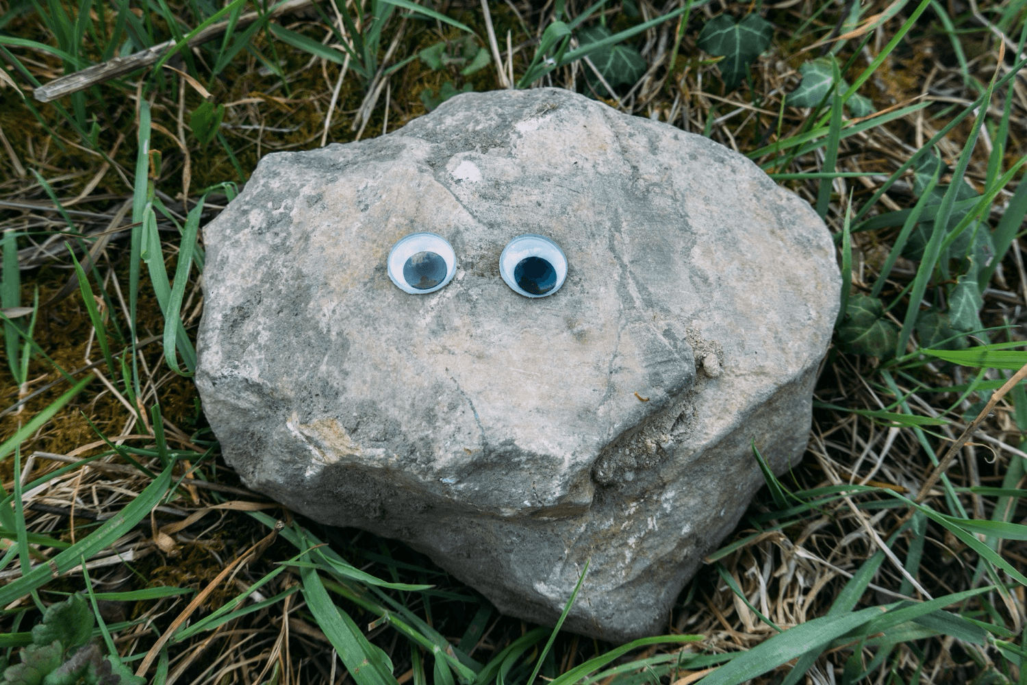 A Stone With Stick On Eyes