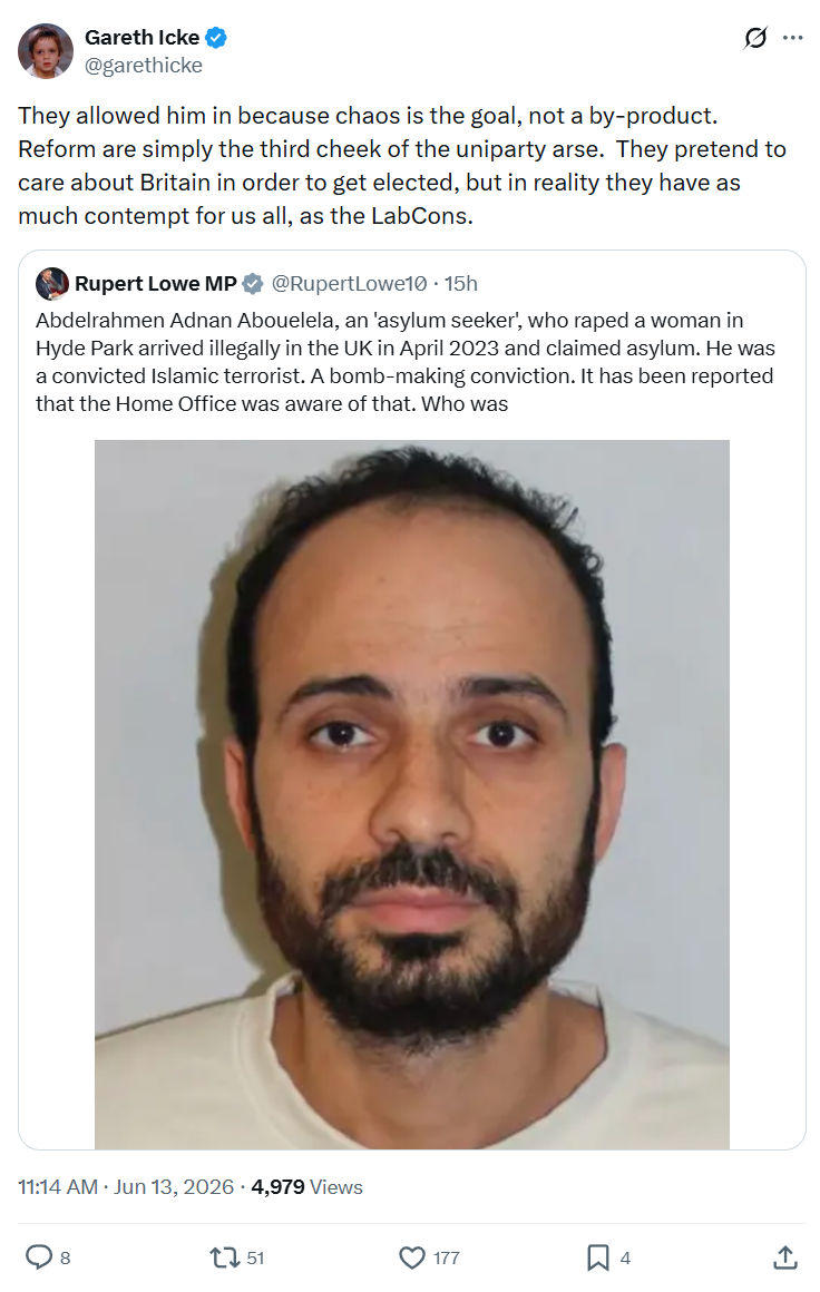 Gareth Icke: They allowed him in because chaos…