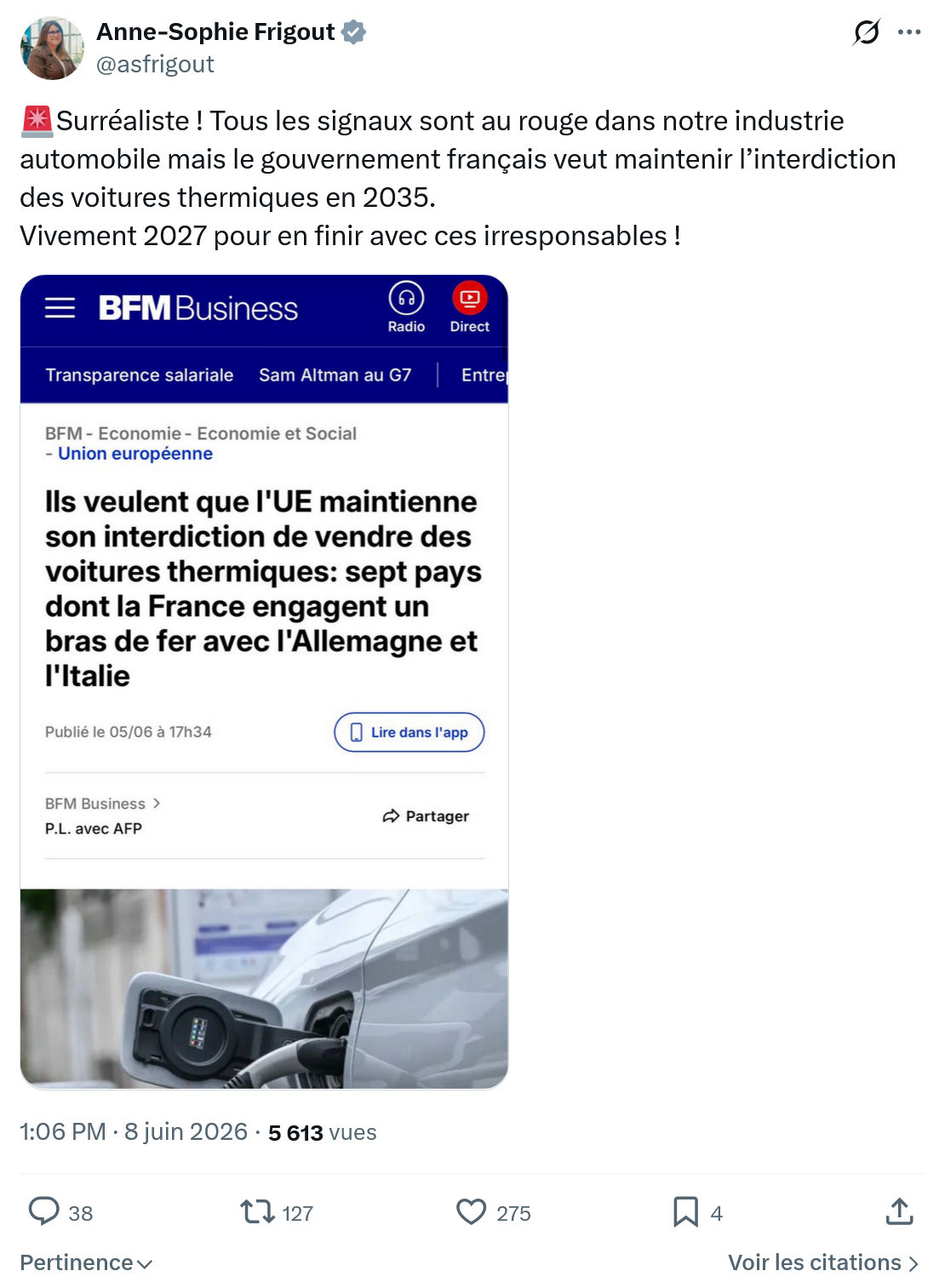 Anne-Sophie Frigout: Surréaliste !…