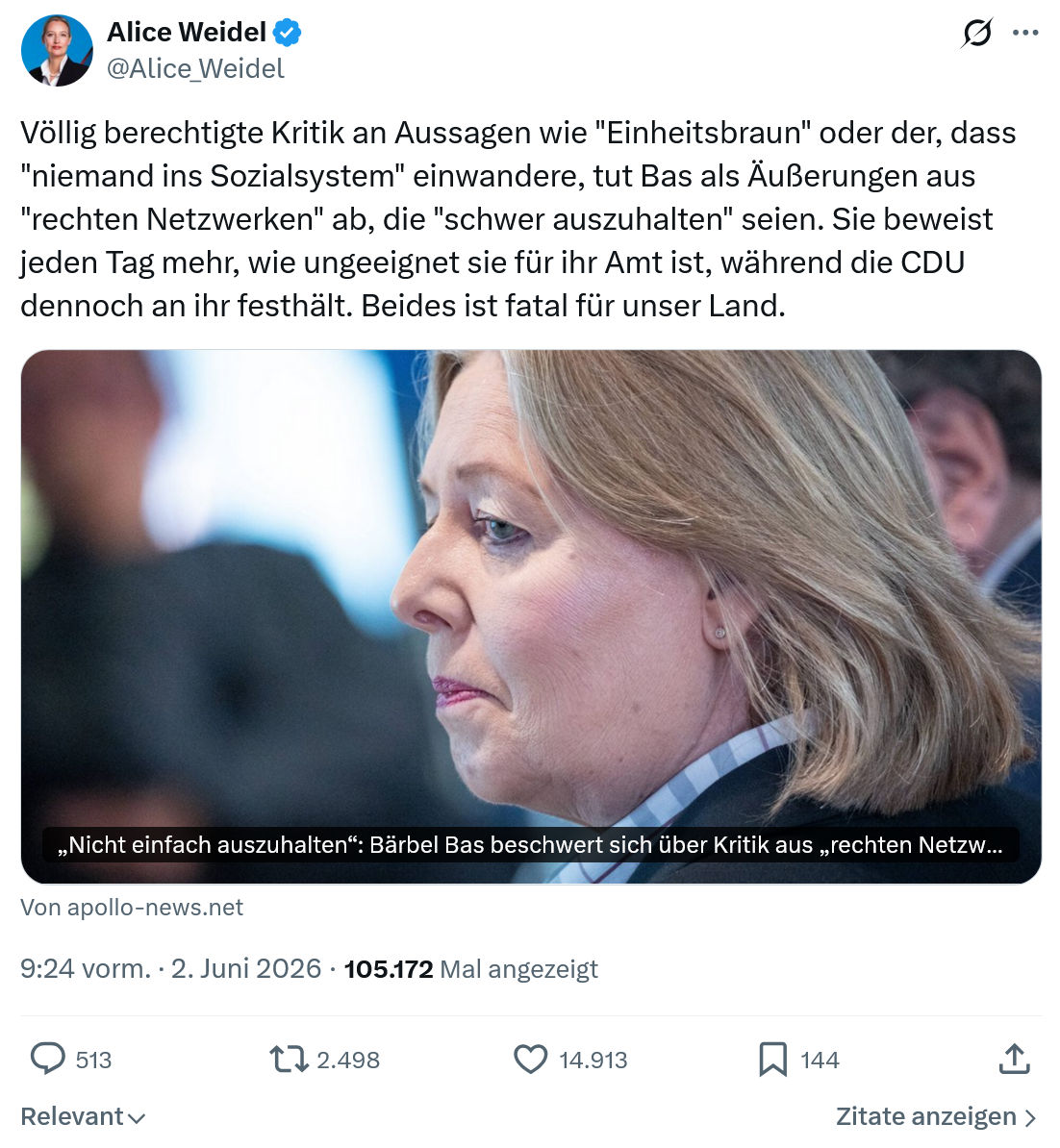 Alice Weidel: Völlig berechtigte Kritik an Aussagen…