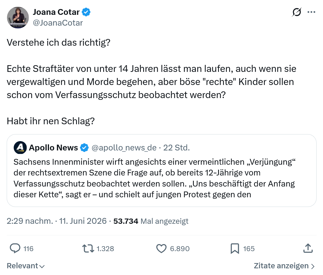 Joana Cotar: Verstehe ich das richtig?…