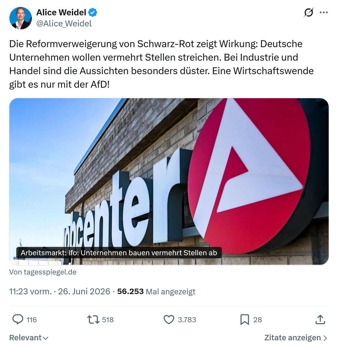 Alice Weidel: Die Reformverweigerung von Schwarz-Rot...
