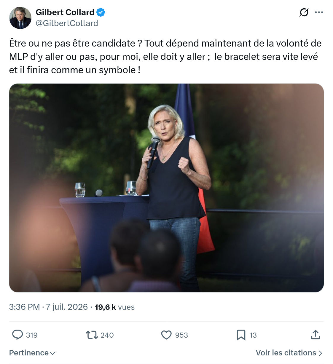 Gilbert Collard: Être ou ne pas être candidate...