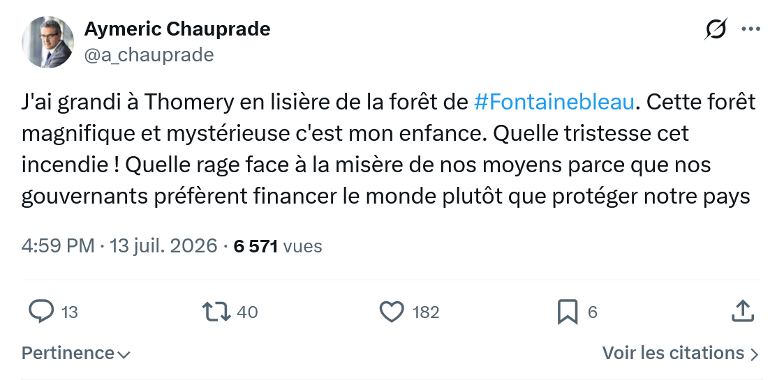 Aymeric Chauprad: J'ai grandi à Thomery en lisière...