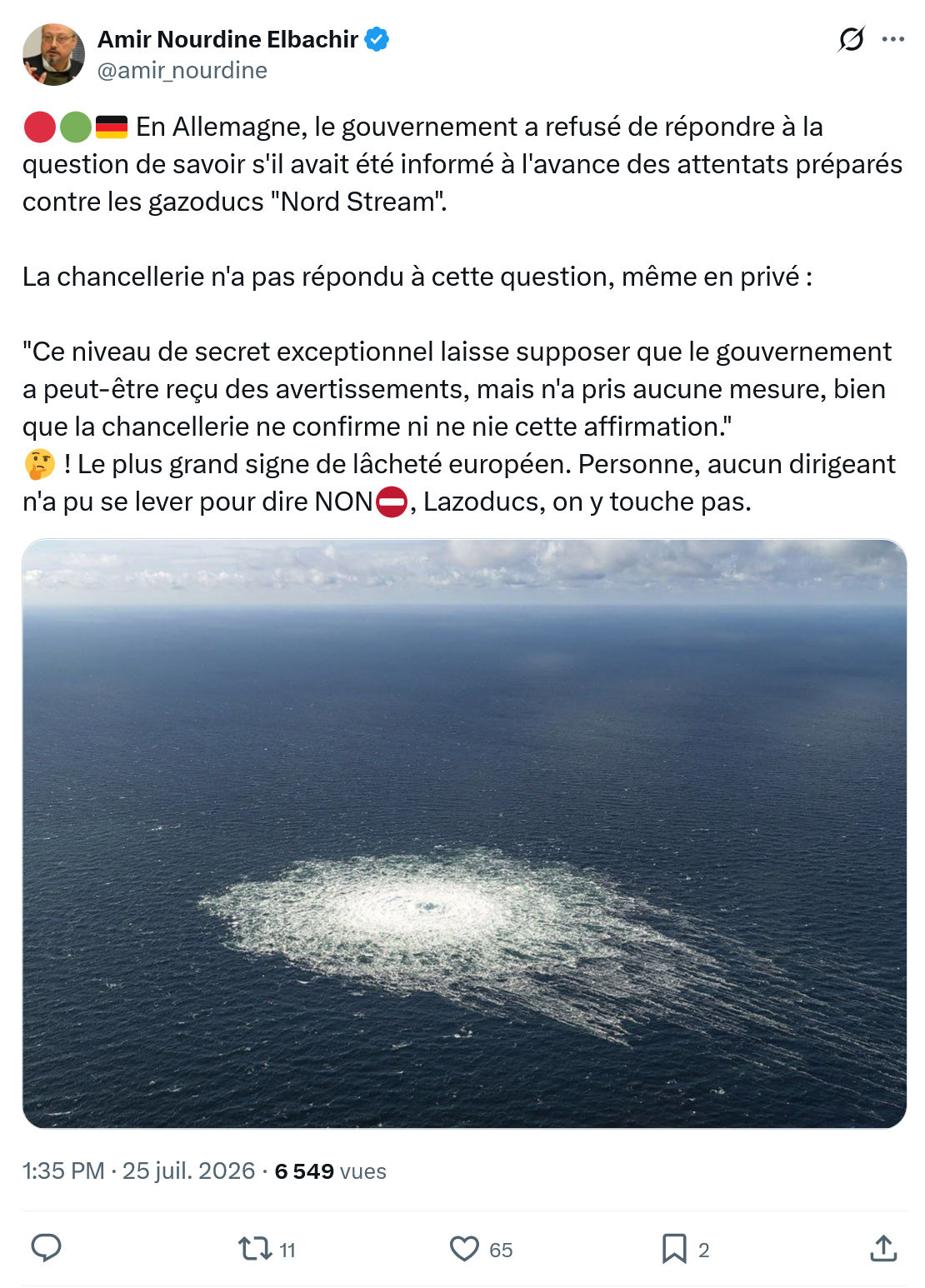 Amir Nourdine Elbachir: En Allemagne, le gouvernement...