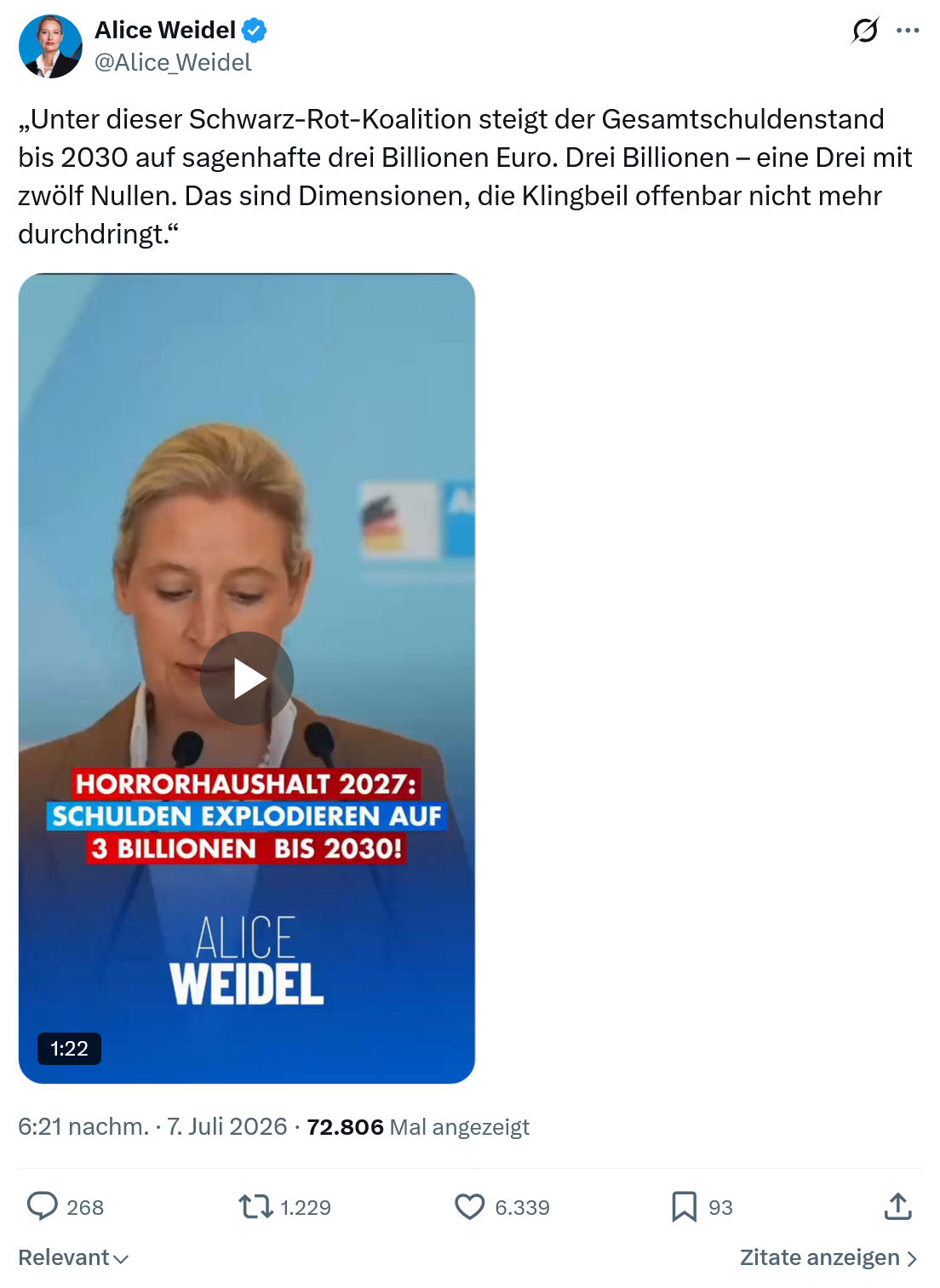 Alice Weidel: Unter dieser Schwarz-Rot-Koalition...