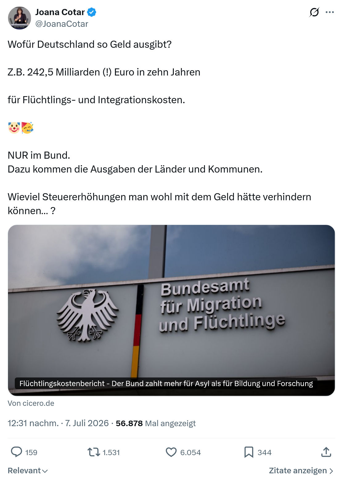 Joana Cotar: Wofür Deutschland so Geld ausgibt?...