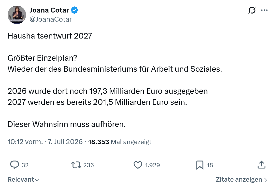 Joana Cotar: Haushaltsentwurf 2027...