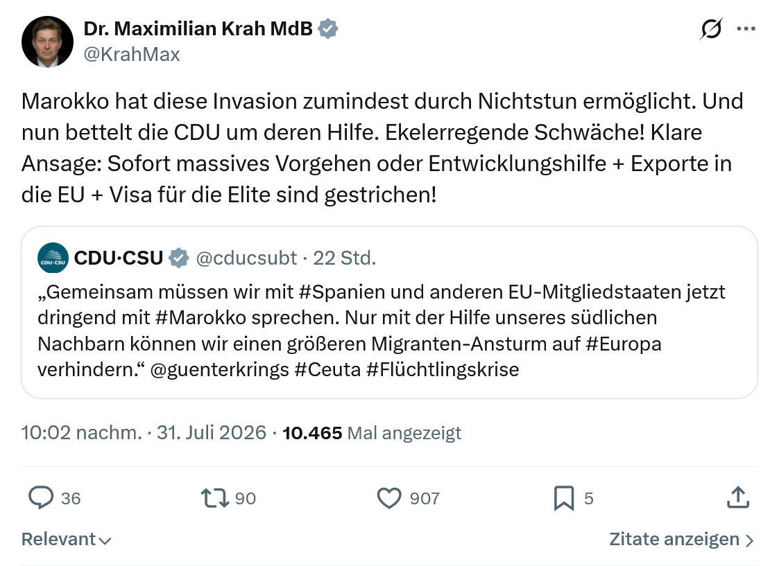 Maximilian Krah: Marokko hat diese Invasion...