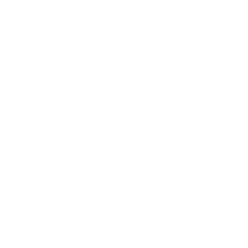 VINFAST