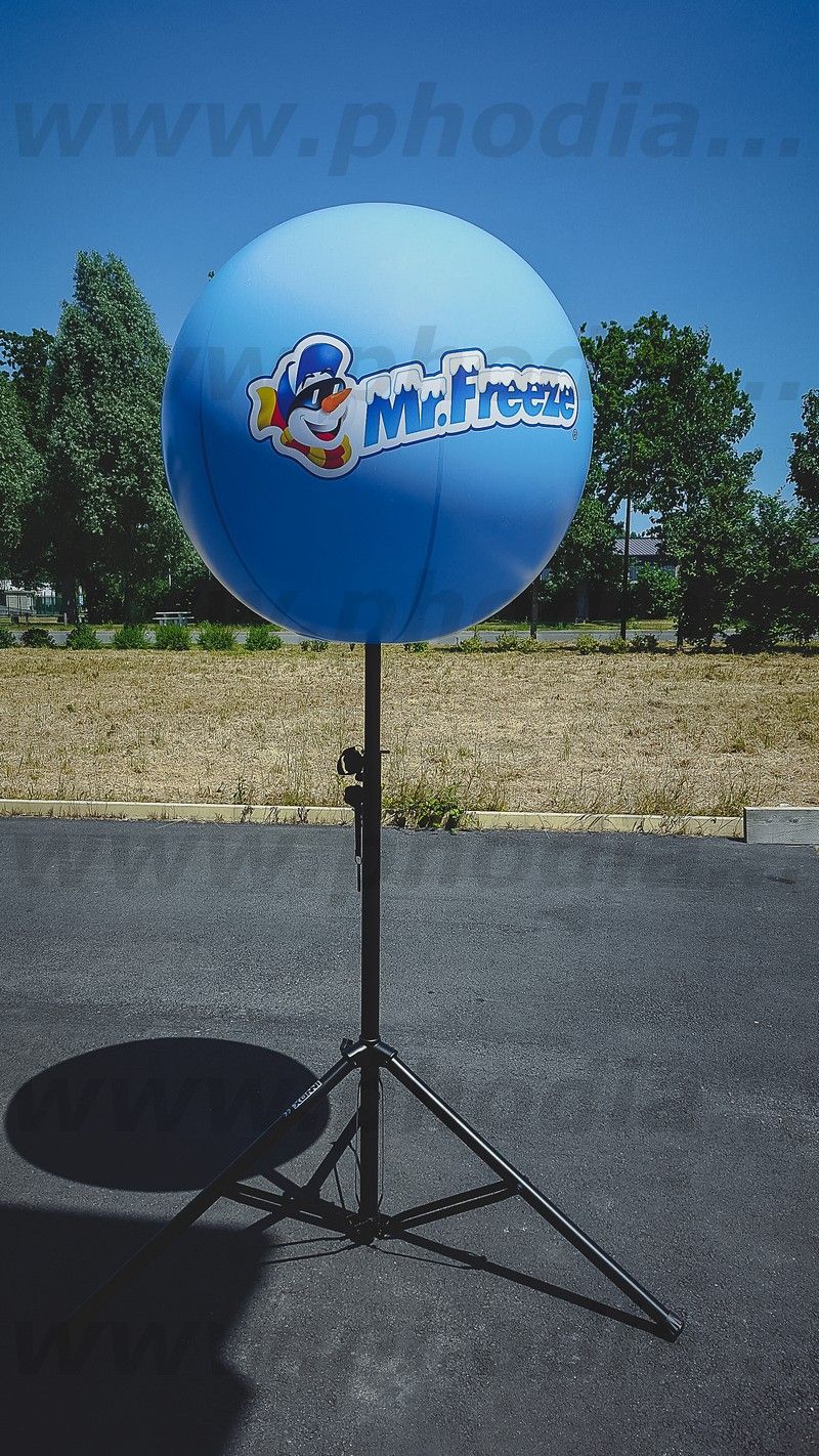Mr freeze logo