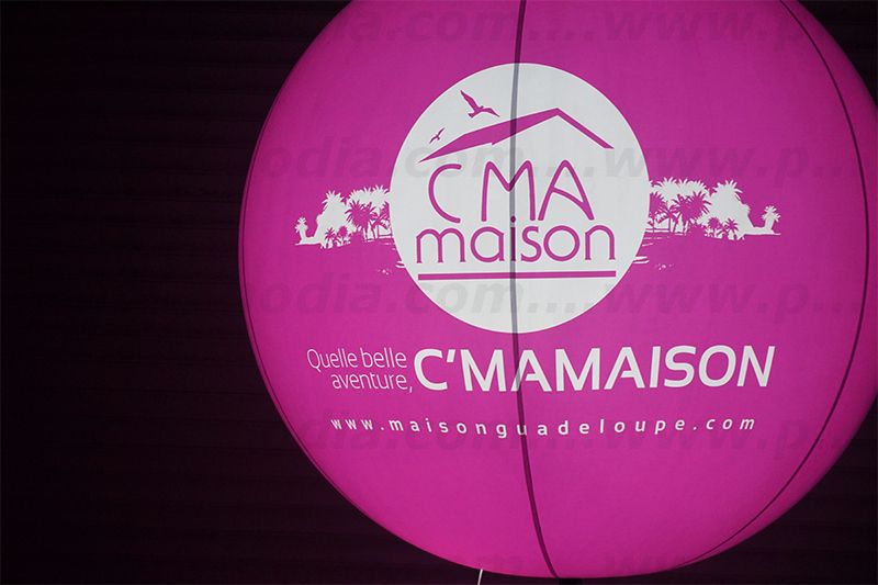 sphere sur perche télescopique cmamaison