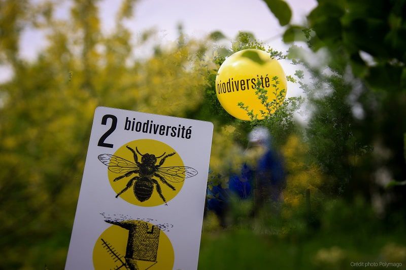 ballon bulle air jaune représentant la biodiversité