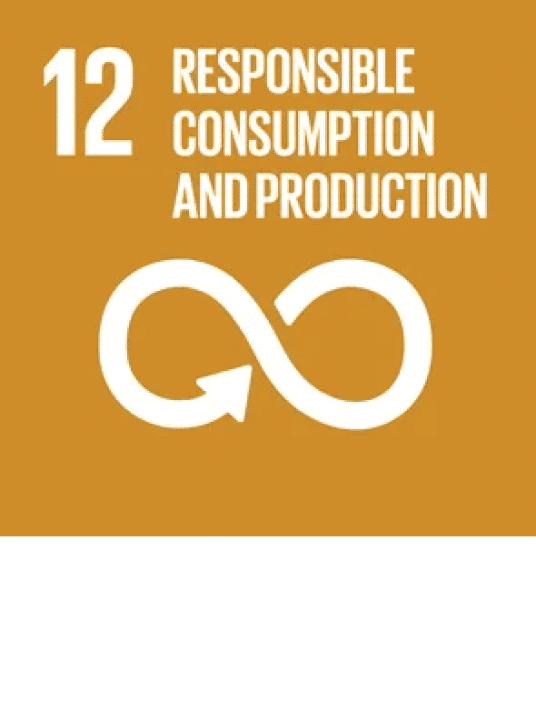 SDG 12