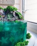 Thumbnail №4 | Торт "Необитаемый остров"