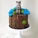 Thumbnail №1 | Торт "Котик"