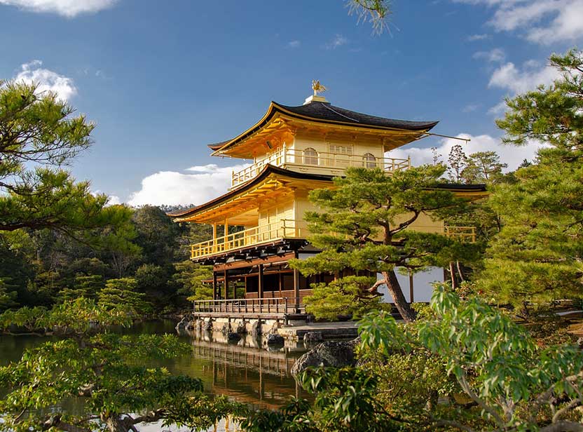 Spring Splendor in Japan