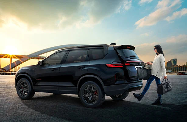 Smart Gesture-Controlled Hands-Free Electric Tailgate with Obstacle Detection Anti-Pinch
