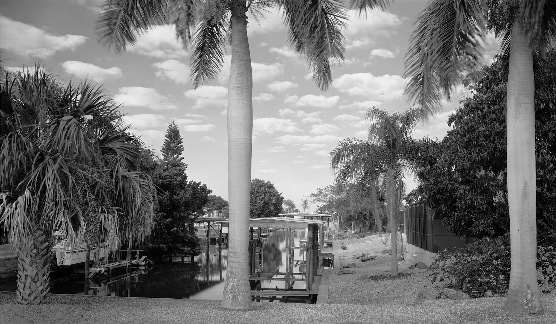 Canal with Palms